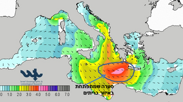 תחזית גלים ומצב הים - איך מבינים את זה