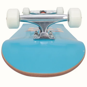 סקייטבורד קומפלט Alameda-Retrospec - Free Sport Israel